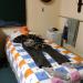 A very organized hunter lays out his clothes